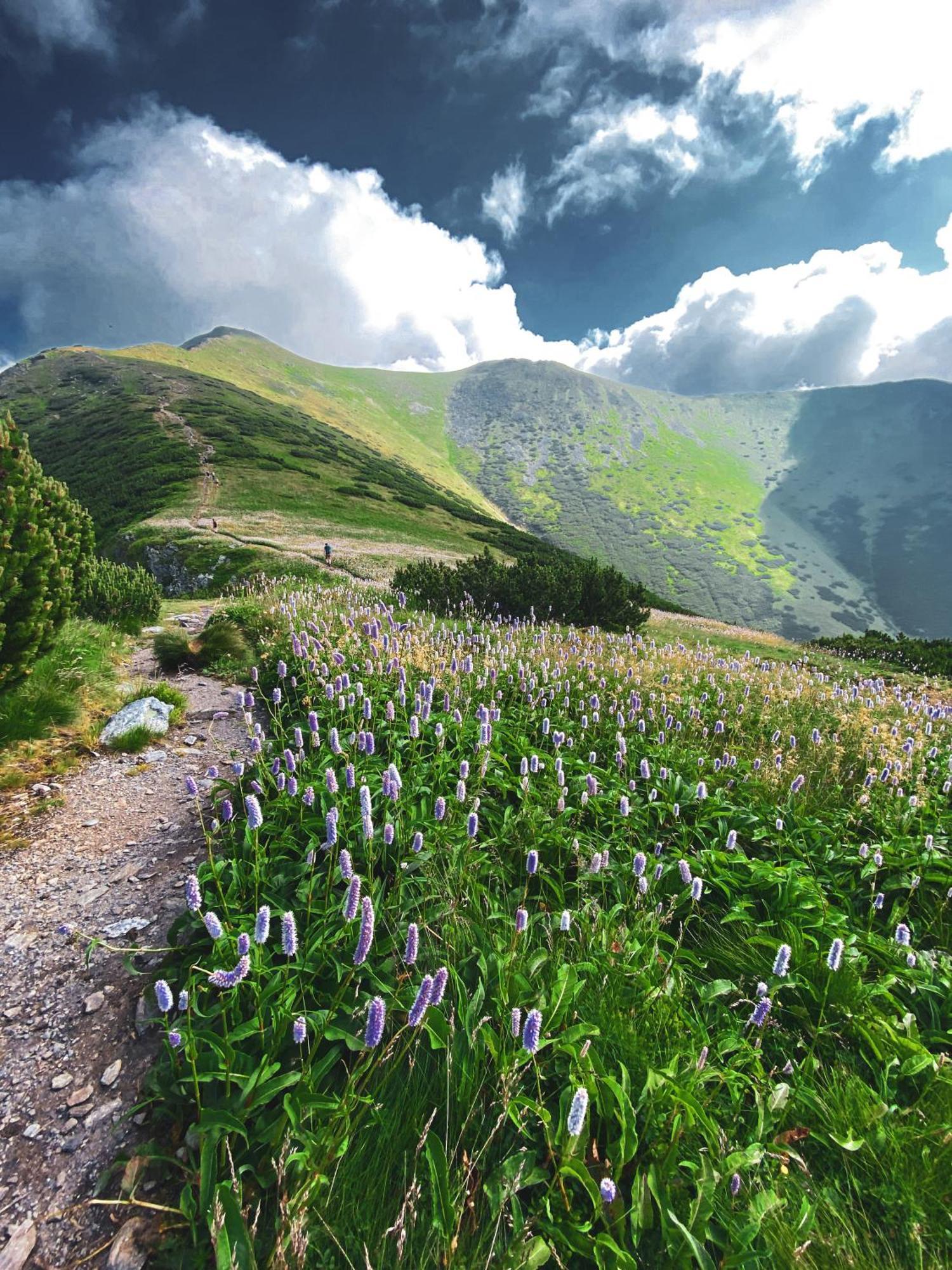 Penzion Limba Demänovská Dolina Dış mekan fotoğraf